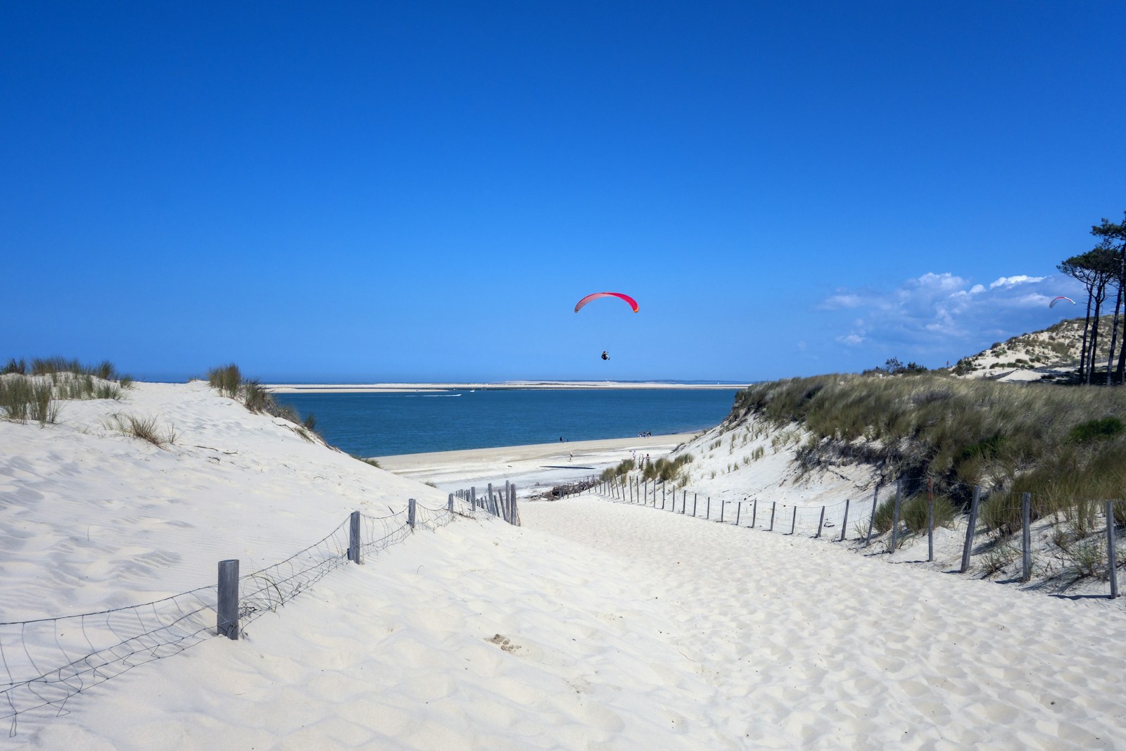 a kite flying over a sandy beach next to the ocean